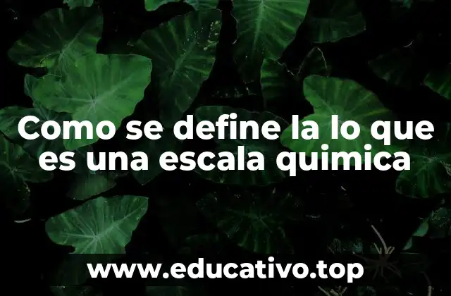 Como se define la lo que es una escala quimica