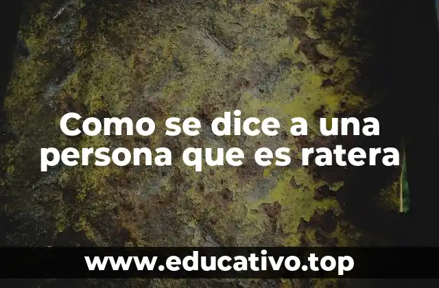 Como se dice a una persona que es ratera