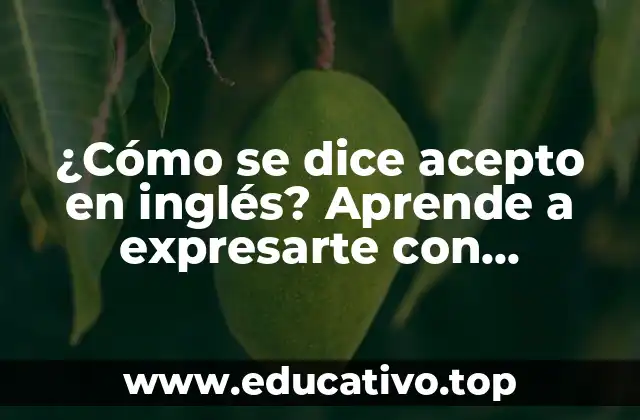 ¿Cómo se dice acepto en inglés? Aprende a expresarte con confianza