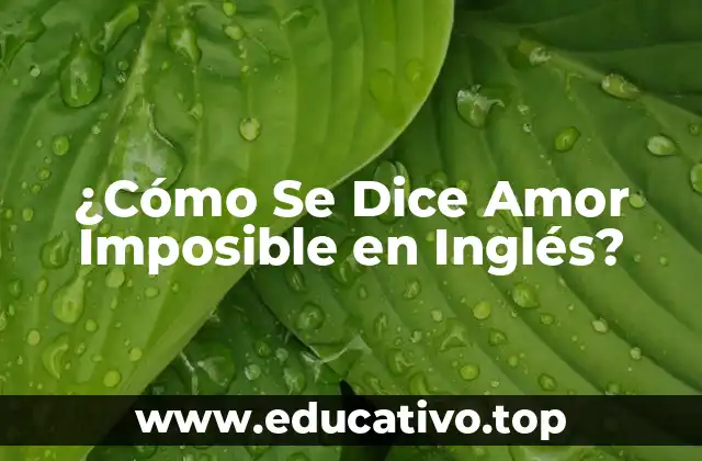¿Cómo Se Dice Amor Imposible en Inglés?