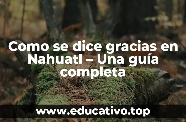 Como se dice gracias en Nahuatl – Una guía completa