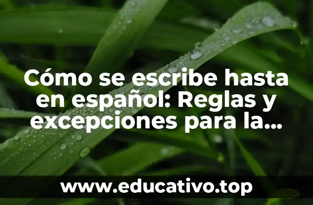 Cómo se escribe hasta en español: Reglas y excepciones para la escritura correcta