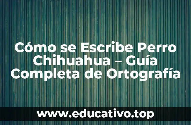 Cómo se Escribe Perro Chihuahua – Guía Completa de Ortografía
