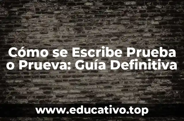 Cómo se Escribe Prueba o Prueva: Guía Definitiva