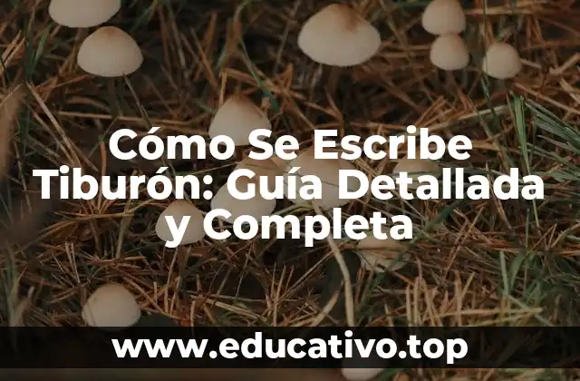 Cómo Se Escribe Tiburón: Guía Detallada y Completa