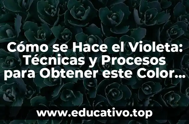 Cómo se Hace el Violeta: Técnicas y Procesos para Obtener este Color Único