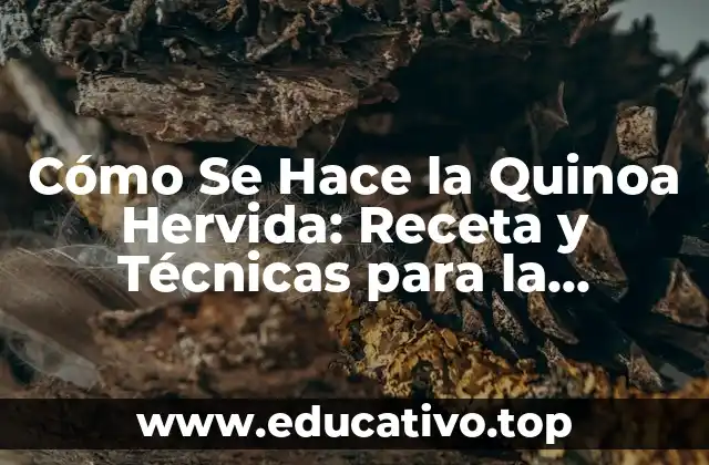 Cómo Se Hace la Quinoa Hervida: Receta y Técnicas para la Preparación Perfecta