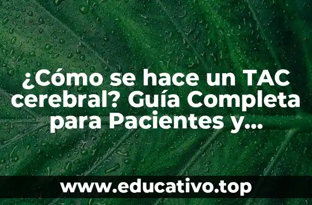 ¿Cómo se hace un TAC cerebral? Guía Completa para Pacientes y Profesionales