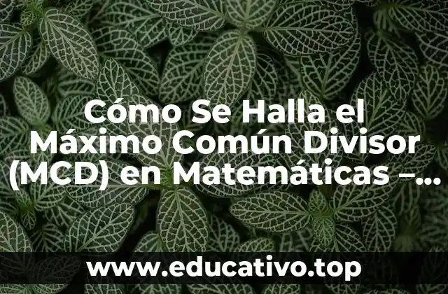 Cómo Se Halla el Máximo Común Divisor (MCD) en Matemáticas – Ejemplos y Ejercicios