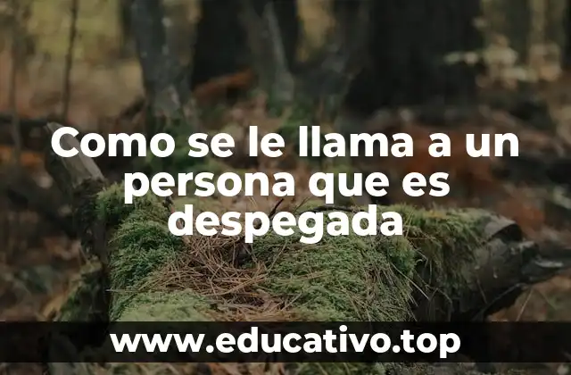 Como se le llama a un persona que es despegada