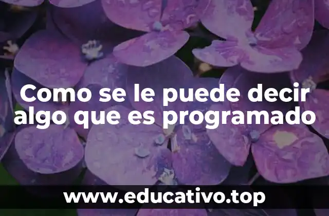 Como se le puede decir algo que es programado