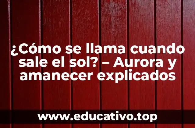 ¿Cómo se llama cuando sale el sol? – Aurora y amanecer explicados