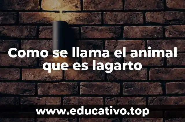 Como se llama el animal que es lagarto