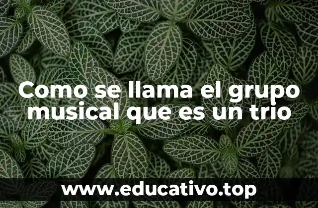 Como se llama el grupo musical que es un trio