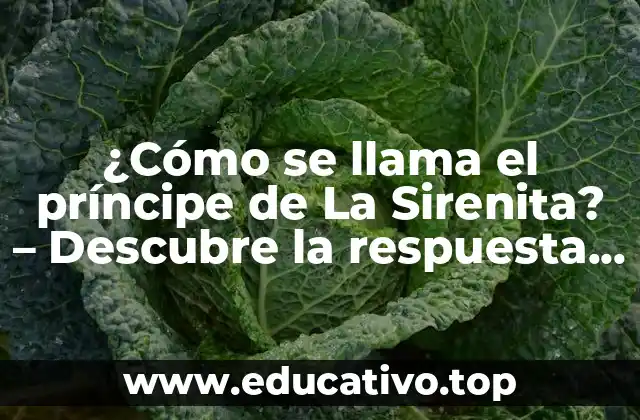 ¿Cómo se llama el príncipe de La Sirenita? – Descubre la respuesta aquí