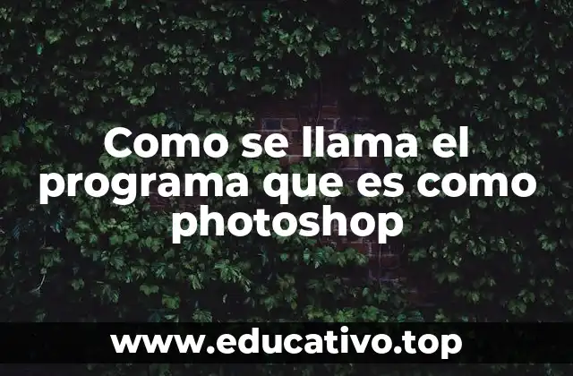 Como se llama el programa que es como photoshop