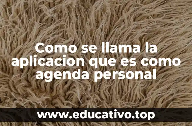 Como se llama la aplicacion que es como agenda personal