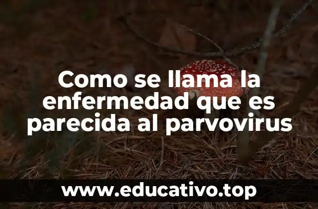 Como se llama la enfermedad que es parecida al parvovirus