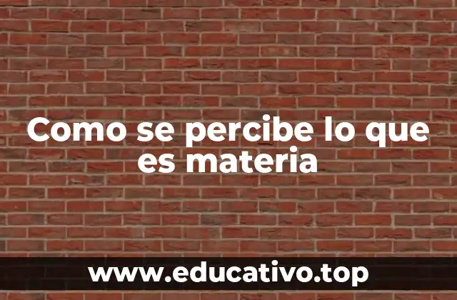 Como se percibe lo que es materia