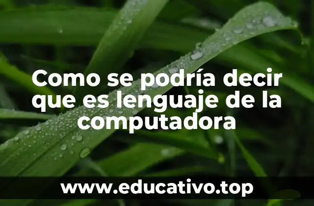 Como se podría decir que es lenguaje de la computadora