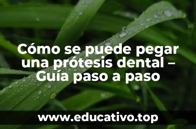 Cómo se puede pegar una prótesis dental – Guía paso a paso