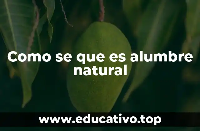 Como se que es alumbre natural