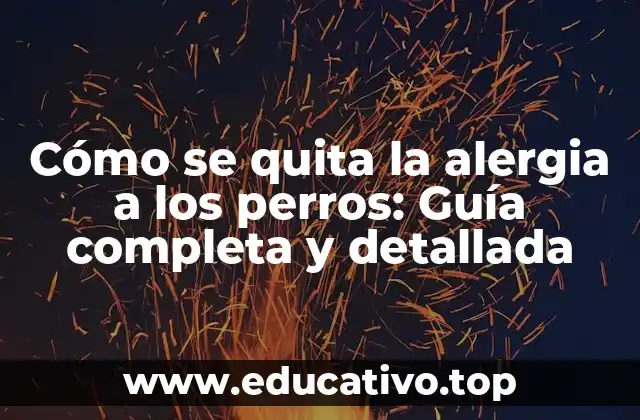 Cómo se quita la alergia a los perros: Guía completa y detallada