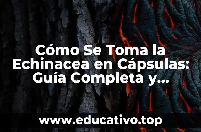 Cómo Se Toma la Echinacea en Cápsulas: Guía Completa y Detallada
