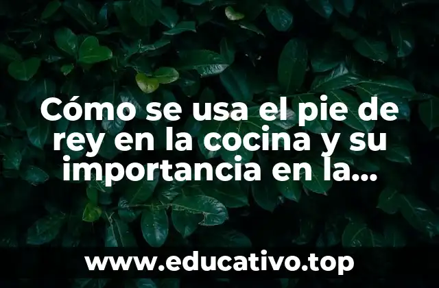Cómo se usa el pie de rey en la cocina y su importancia en la gastronomía
