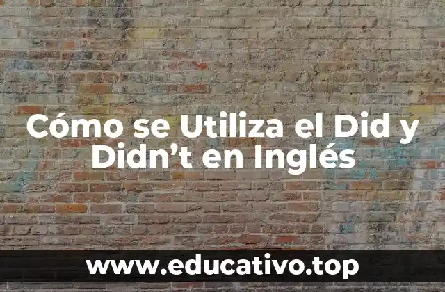 Cómo se Utiliza el Did y Didn’t en Inglés