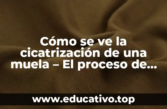 El proceso de cicatrización de una muela - Fases clave