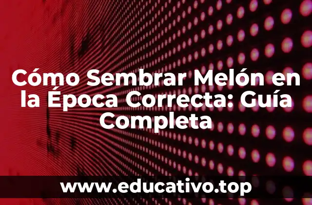 Cómo Sembrar Melón en la Época Correcta: Guía Completa