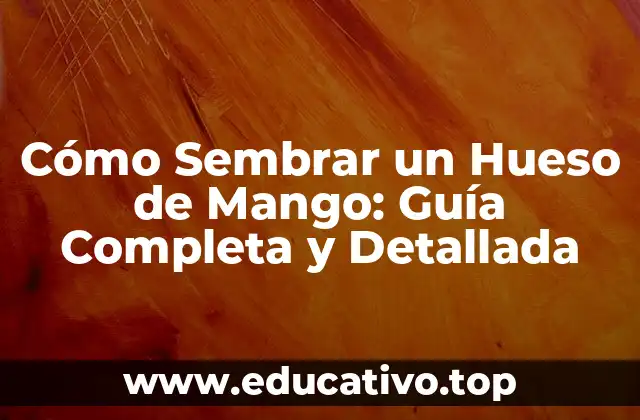 Cómo Sembrar un Hueso de Mango: Guía Completa y Detallada