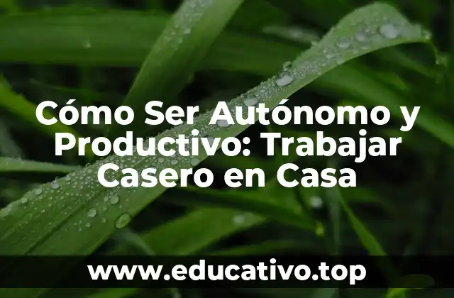 Cómo Ser Autónomo y Productivo: Trabajar Casero en Casa