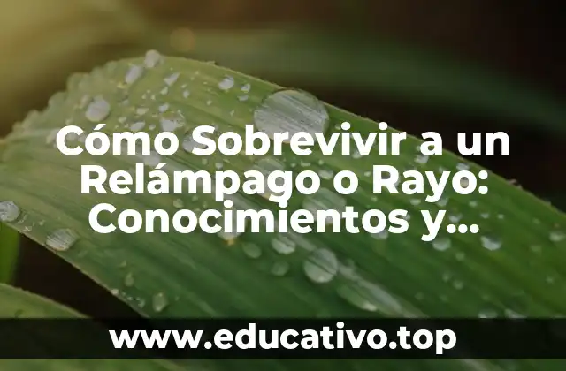 Cómo Sobrevivir a un Relámpago o Rayo: Conocimientos y Precauciones