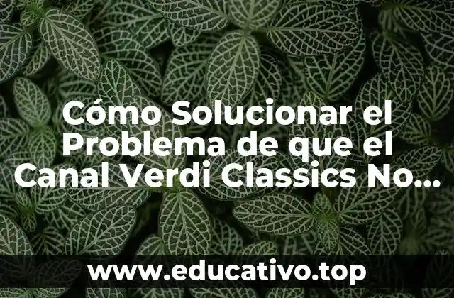 Cómo Solucionar el Problema de que el Canal Verdi Classics No Se Ve