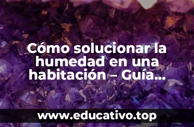 Cómo solucionar la humedad en una habitación – Guía práctica y completa