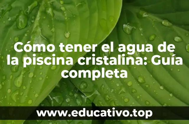 Cómo tener el agua de la piscina cristalina: Guía completa