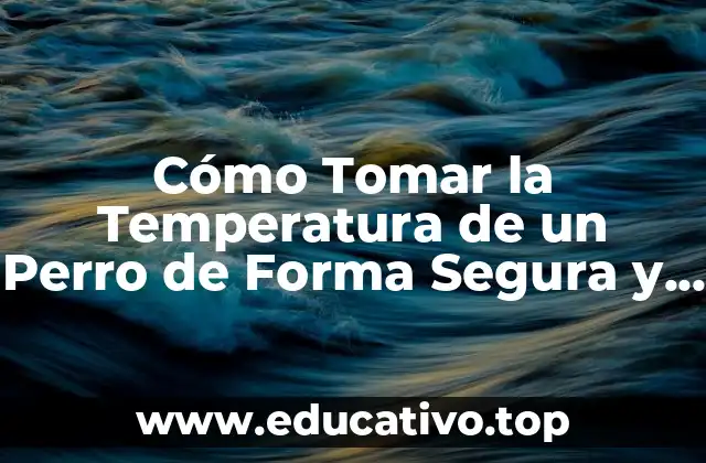 Cómo Tomar la Temperatura de un Perro de Forma Segura y Exacta
