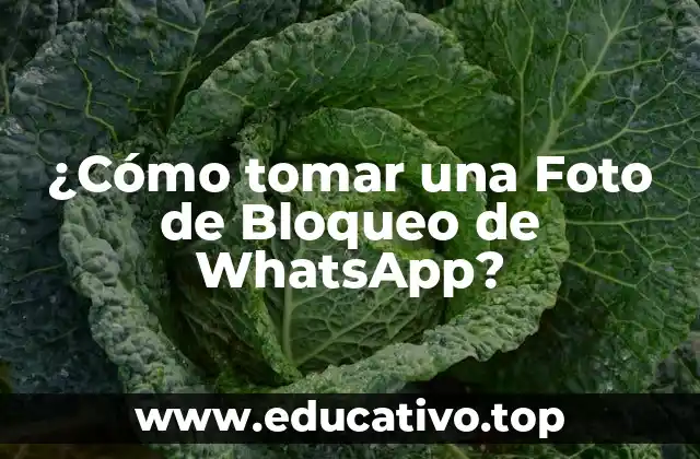 ¿Cómo tomar una Foto de Bloqueo de WhatsApp?