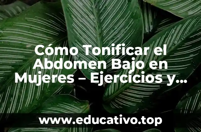 Cómo Tonificar el Abdomen Bajo en Mujeres – Ejercicios y Consejos