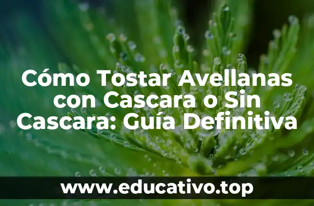 Cómo Tostar Avellanas con Cascara o Sin Cascara: Guía Definitiva