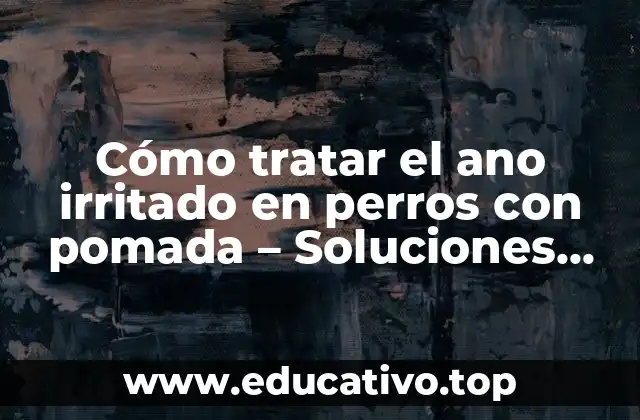 Cómo tratar el ano irritado en perros con pomada – Soluciones efectivas