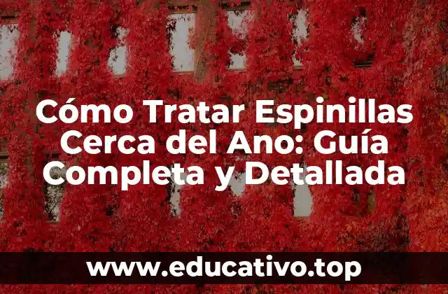 Cómo Tratar Espinillas Cerca del Ano: Guía Completa y Detallada