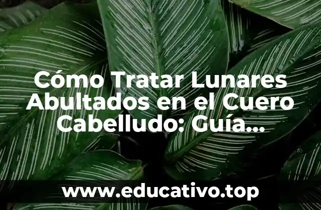 Cómo Tratar Lunares Abultados en el Cuero Cabelludo: Guía Completa