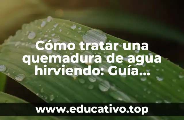Cómo tratar una quemadura de agua hirviendo: Guía completa para la atención inmediata y recuperación segura