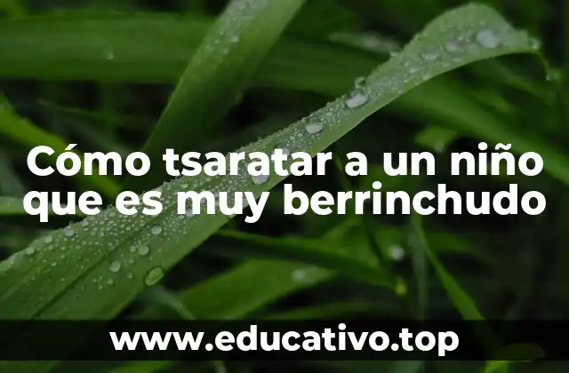 Cómo tsaratar a un niño que es muy berrinchudo