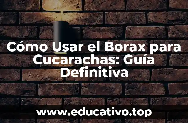Cómo Usar el Borax para Cucarachas: Guía Definitiva