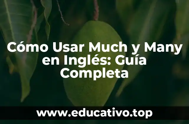 Cómo Usar Much y Many en Inglés: Guía Completa