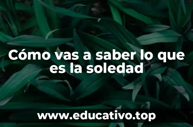 Cómo vas a saber lo que es la soledad